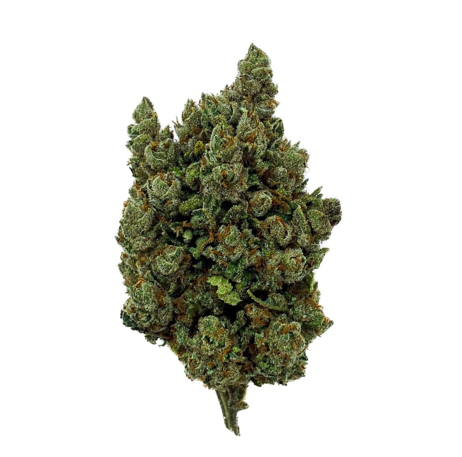 Orange Sherbet