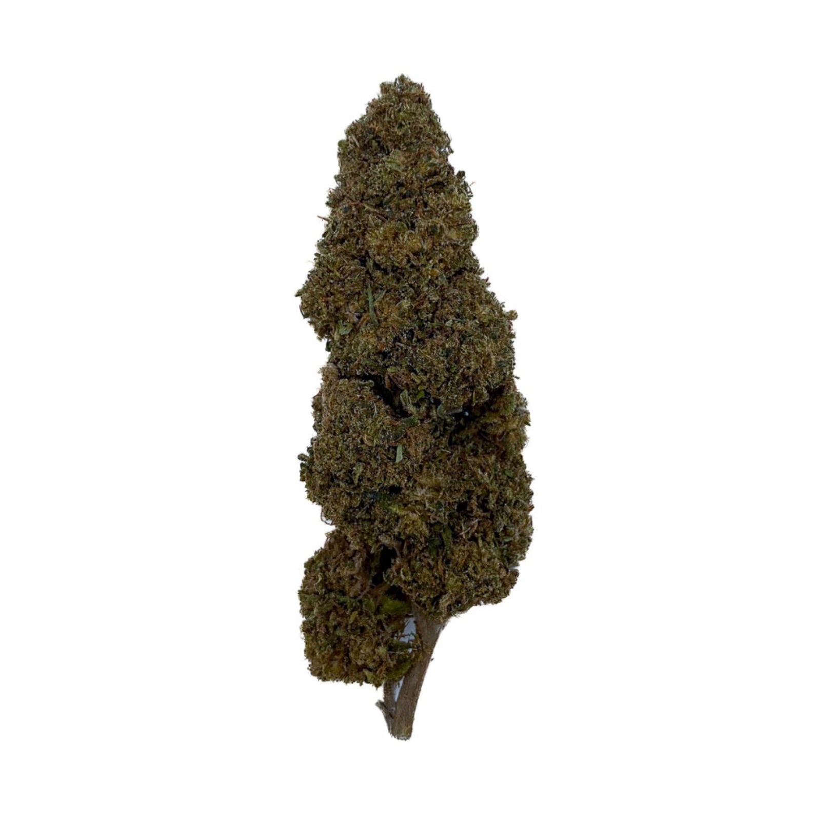 Jack Herer