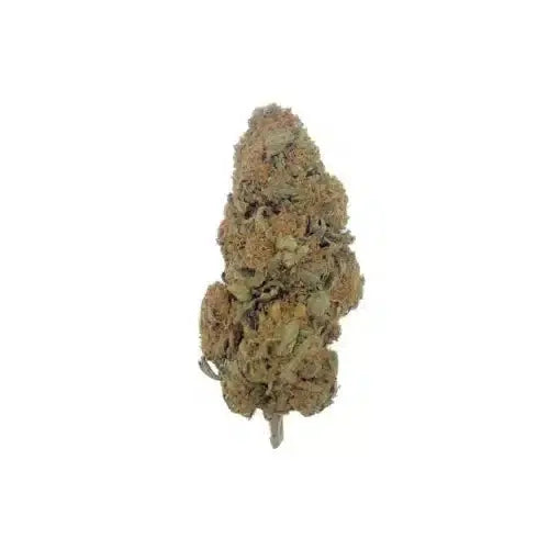DURBAN POISON 12% | Greenhouse