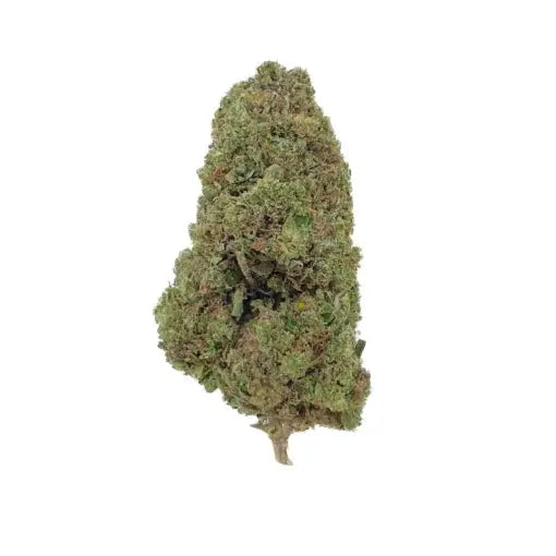 BISCOTTI 15% | Greenhouse