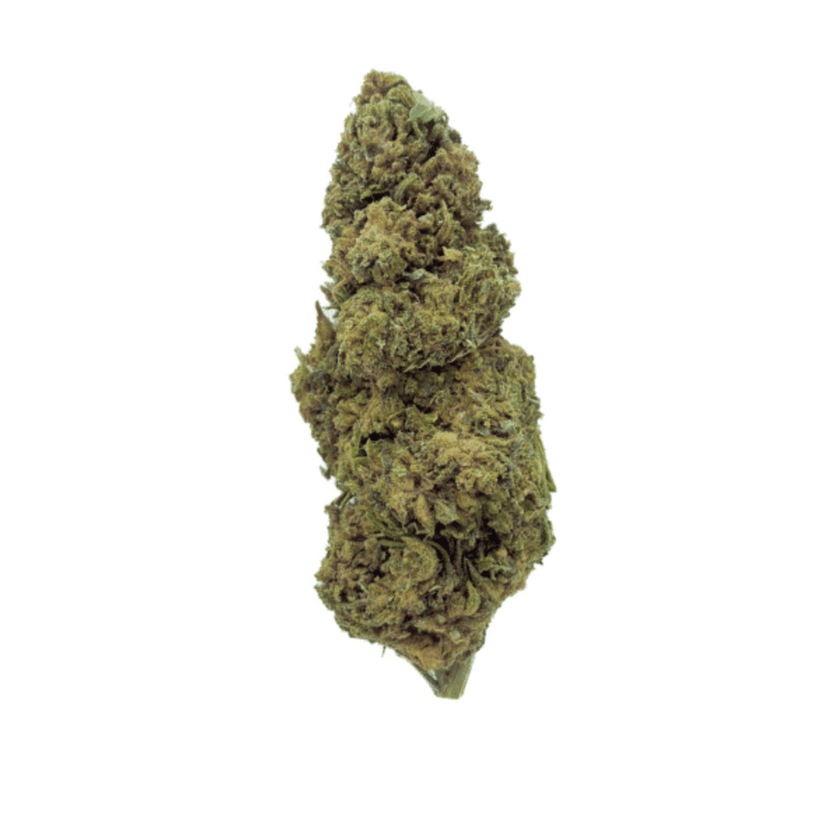 Cannatonic