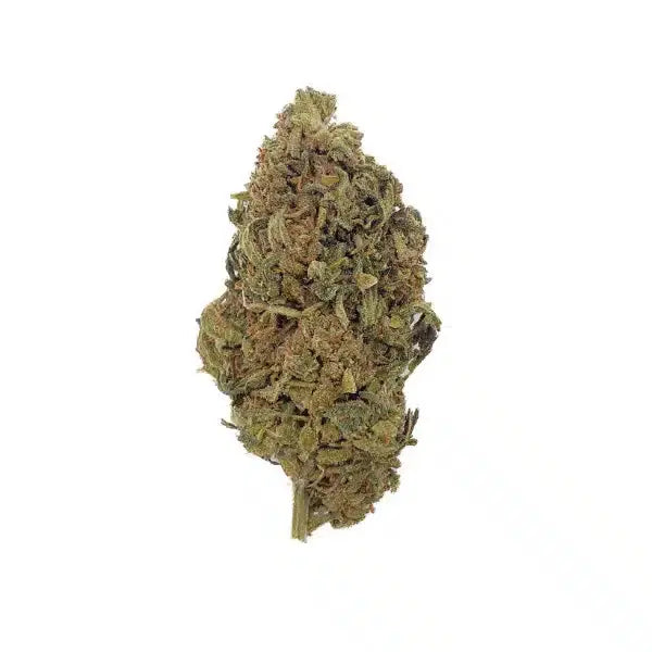 Green House Gelato