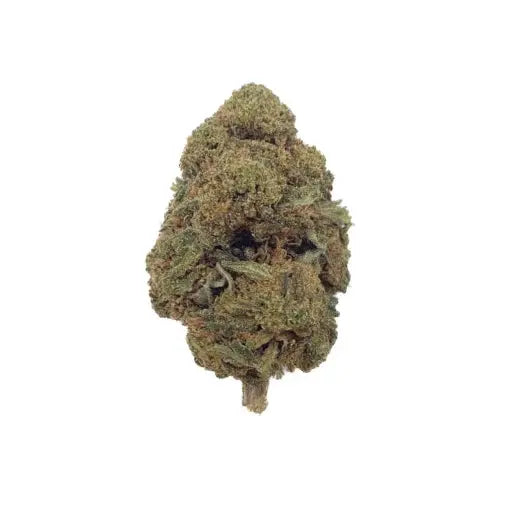 OG Kush 10% | Greenhouse