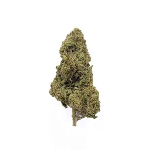White Widow CBD Flower - Premium Italian Strain with 14% CBD