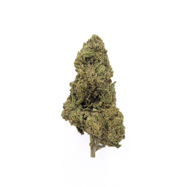 White Widow Glass House