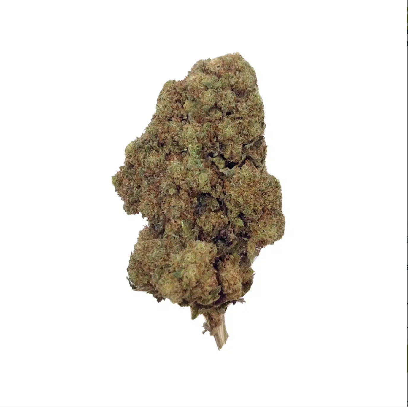 Ak 47
