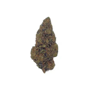 Jack Herer 10% C13NRV